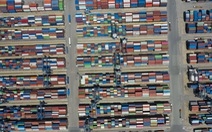 Cảng Cát Lái chật kín container, Cục hàng hải lập Sở chỉ huy tiền phương