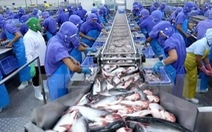"Khai sáng" các thị trường mới đã giúp giá trị xuất khẩu cá tra vượt kỳ vọng