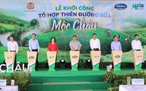 Việt Nam sẽ có ‘thiên đường sữa’ trên cao nguyên Mộc Châu